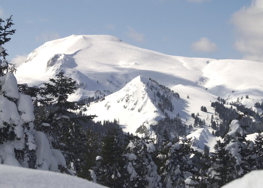 Jura Hotels Ilgaz Mountain Resort Exterior foto
