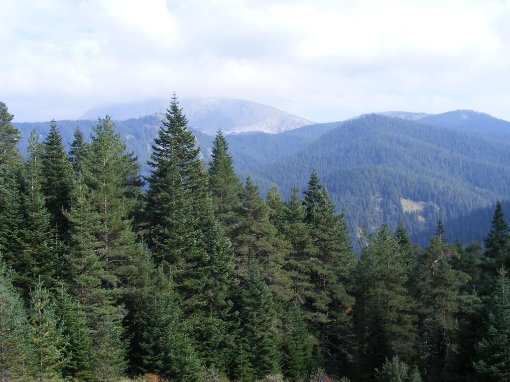 Jura Hotels Ilgaz Mountain Resort Exterior foto