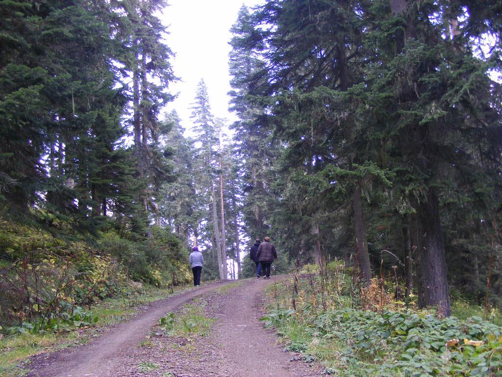 Jura Hotels Ilgaz Mountain Resort Exterior foto